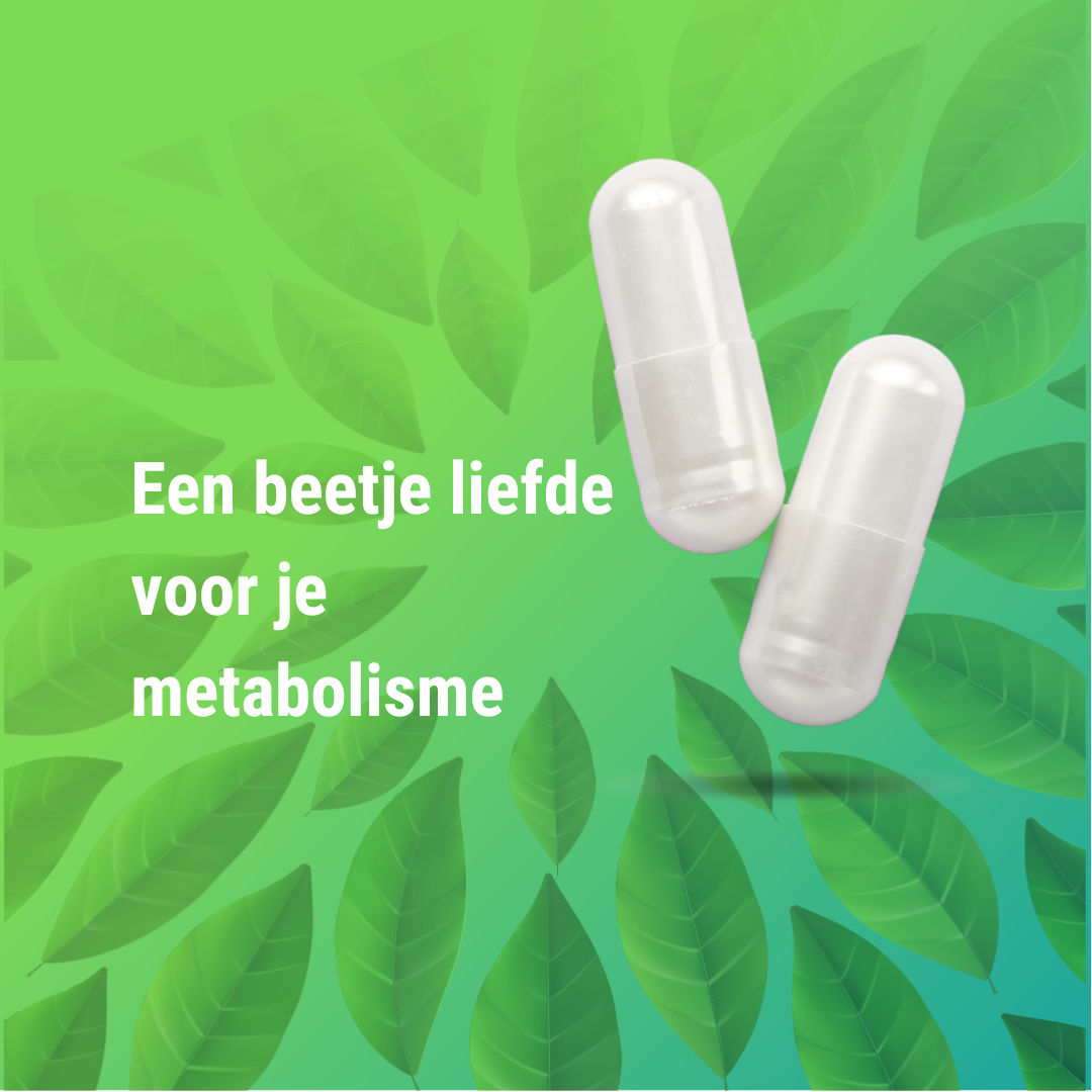 Stoffwechsel Booster+